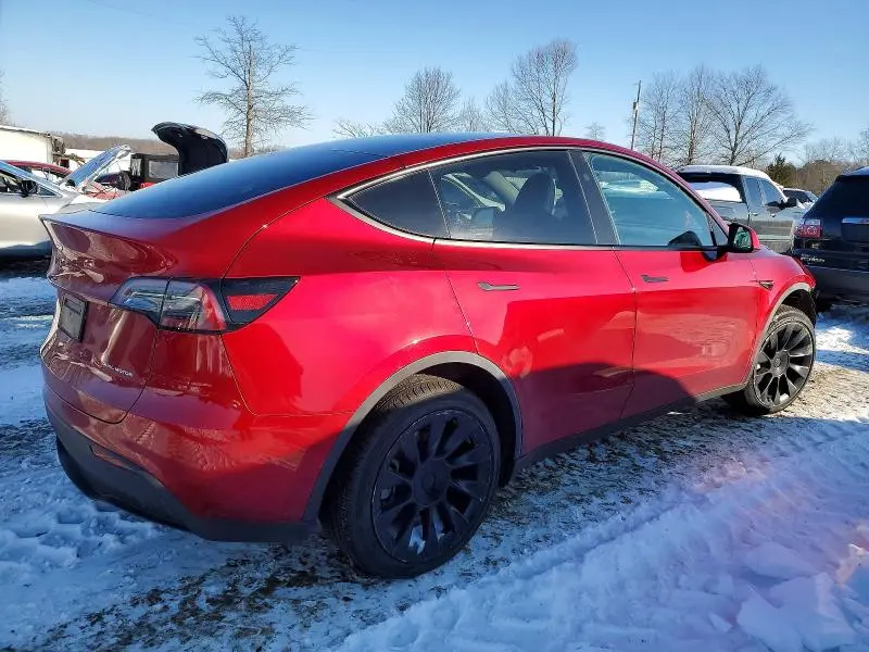 2024 TESLA MODEL Y   