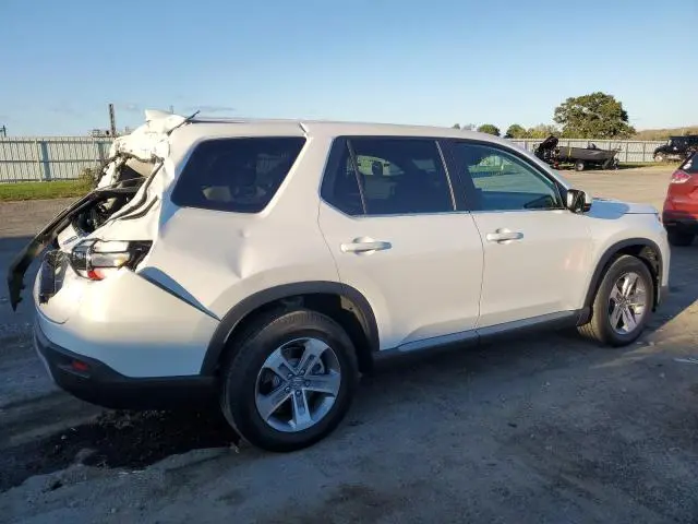 2025 HONDA PILOT EXL