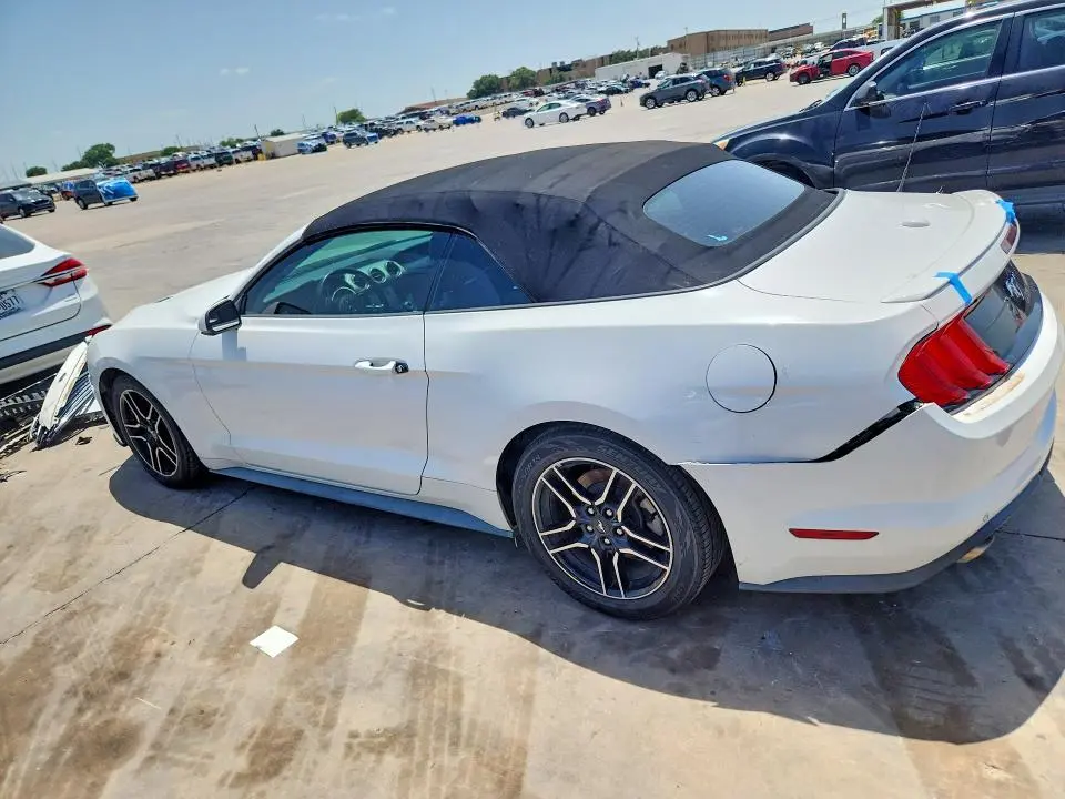 2019 FORD MUSTANG   