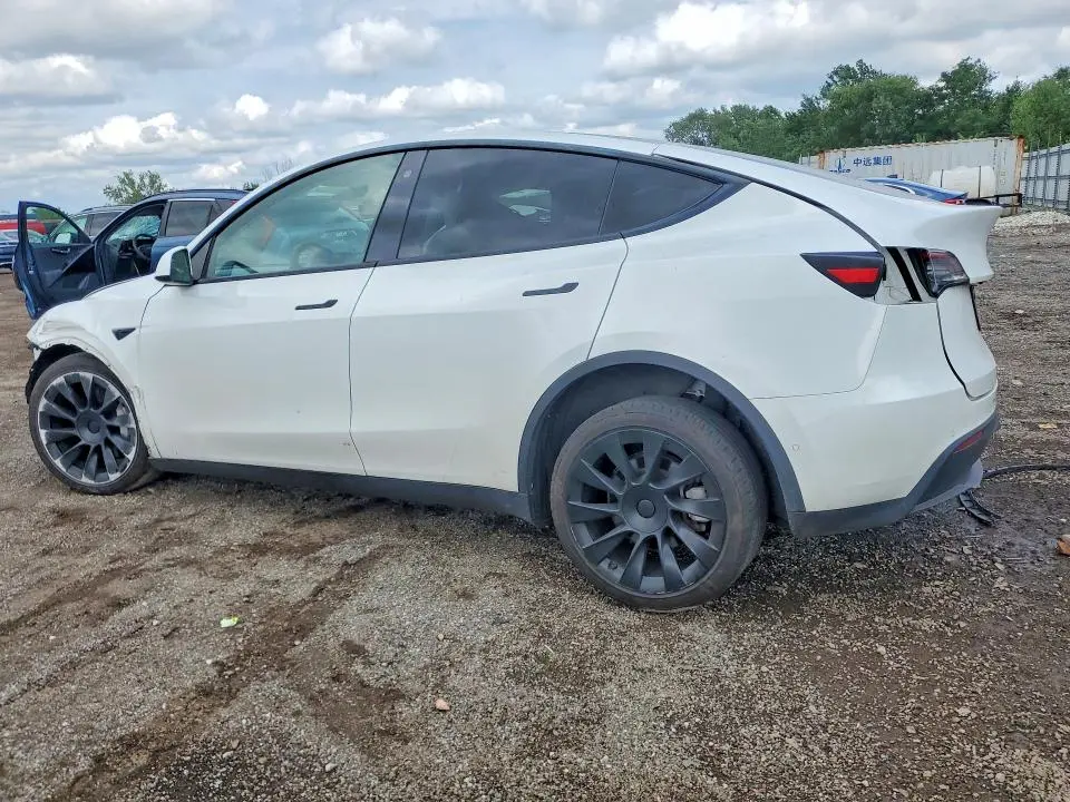 2021 TESLA MODEL Y   