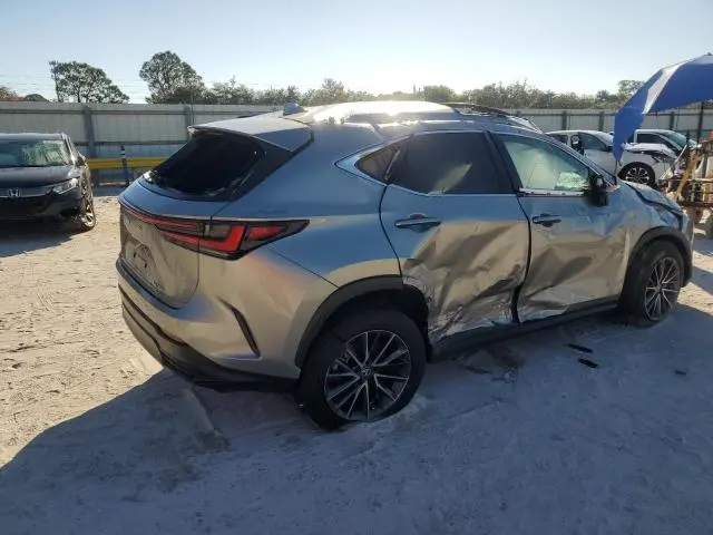 2023 LEXUS NX 350  