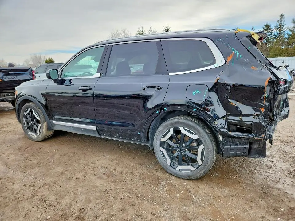 2024 KIA TELLURIDE EX  
