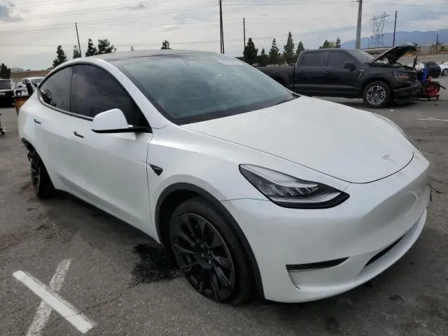 2020 TESLA MODEL Y   