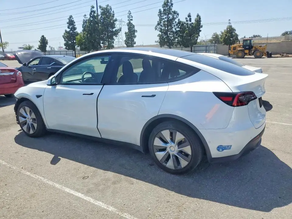 2020 TESLA MODEL Y   