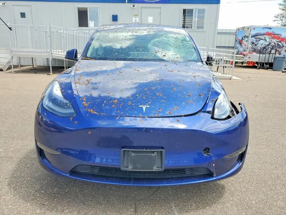 2024 TESLA MODEL Y   