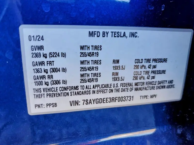 2024 TESLA MODEL Y   