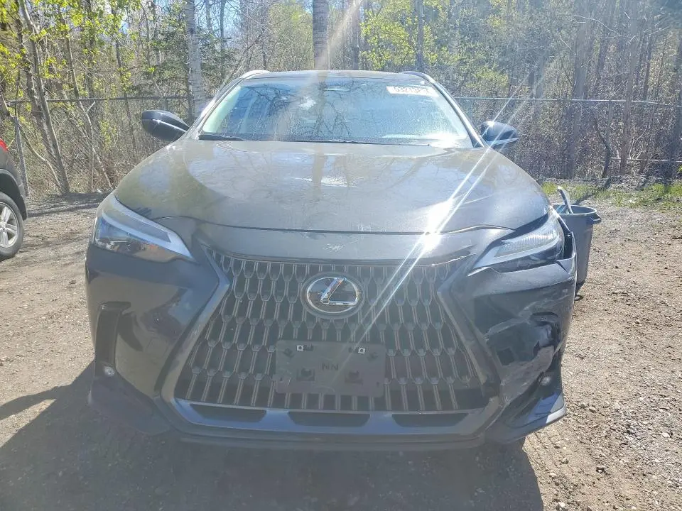 2024 LEXUS NX 350H PREMIUM  