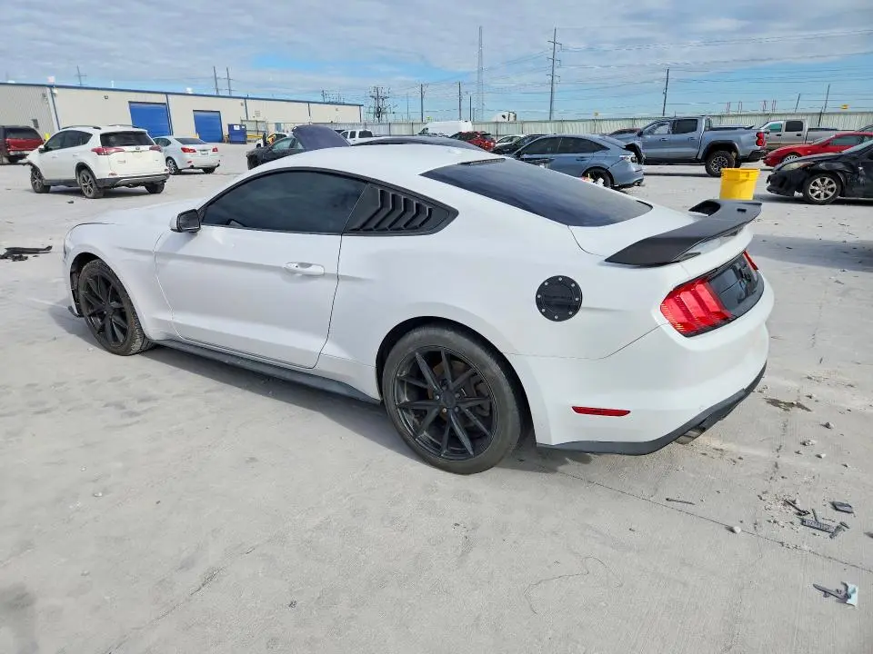 2019 FORD MUSTANG   