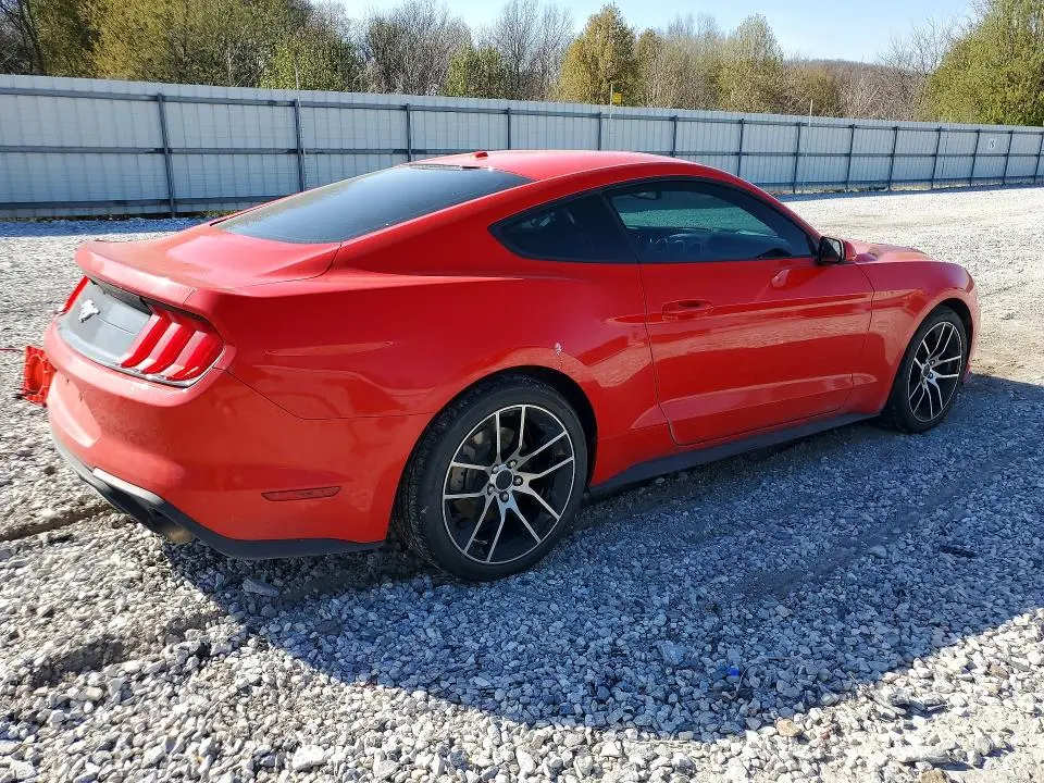 2019 FORD MUSTANG   