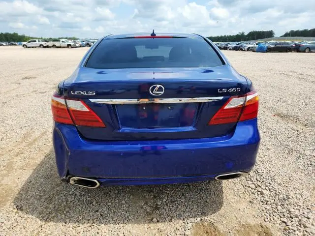 2010 LEXUS LS 460  