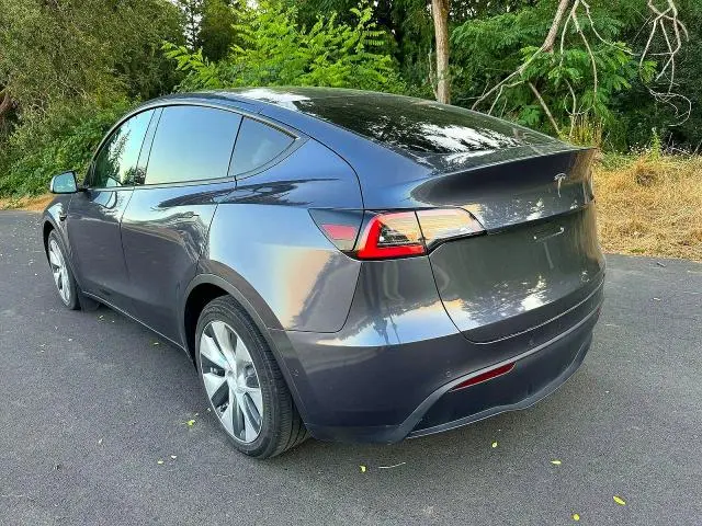 2021 TESLA MODEL Y   