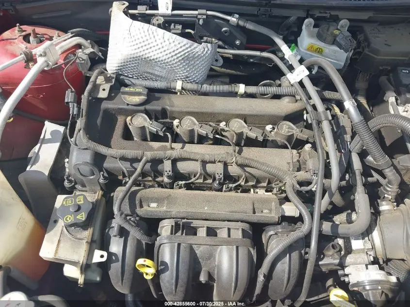 2011 FORD FOCUS SE