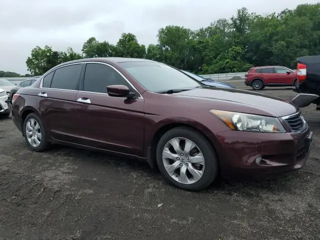 2010 HONDA ACCORD EXL  
