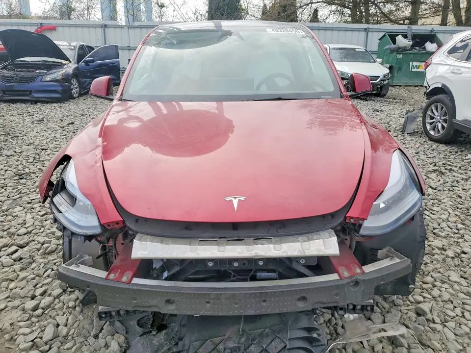 2025 TESLA MODEL Y   