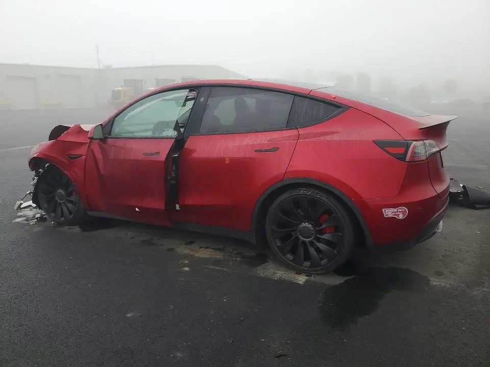 2024 TESLA MODEL Y   