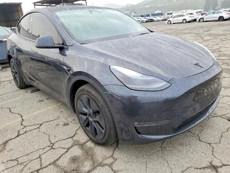2024 TESLA MODEL Y   
