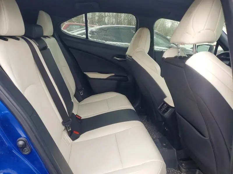 2020 LEXUS UX 250H F SPORT  