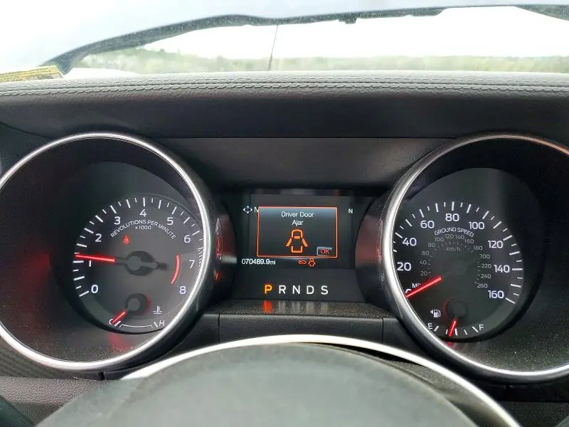 2019 FORD MUSTANG   