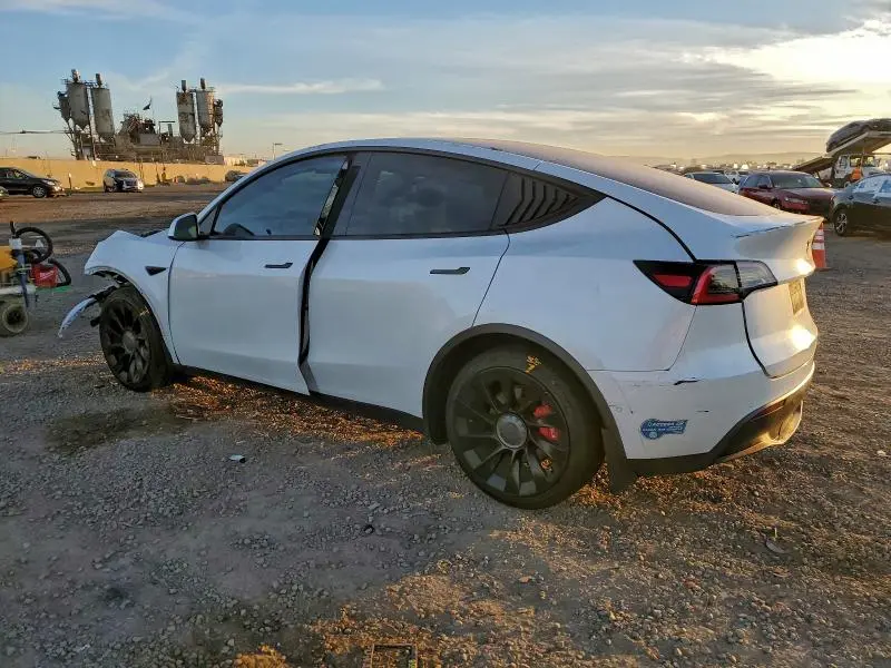 2021 TESLA MODEL Y   