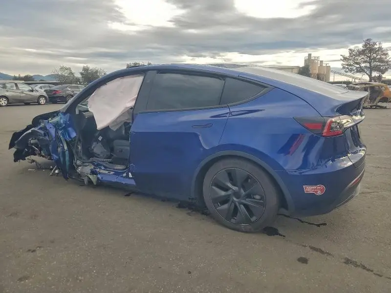 2025 TESLA MODEL Y   