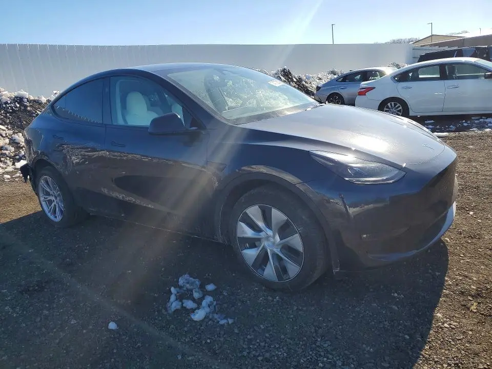 2024 TESLA MODEL Y   