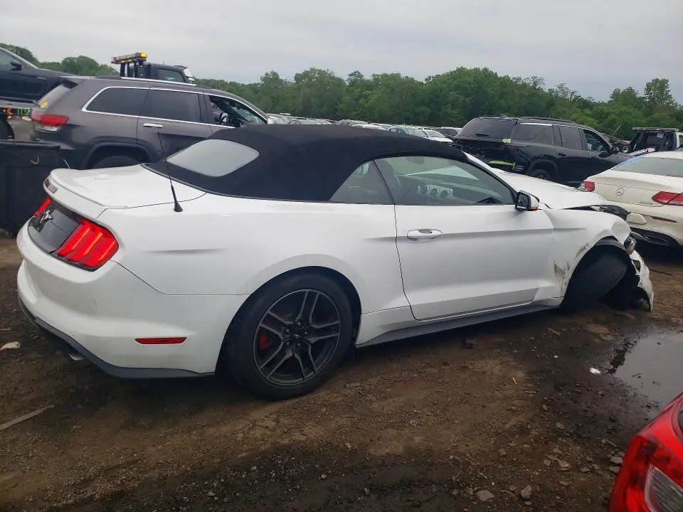 2019 FORD MUSTANG   