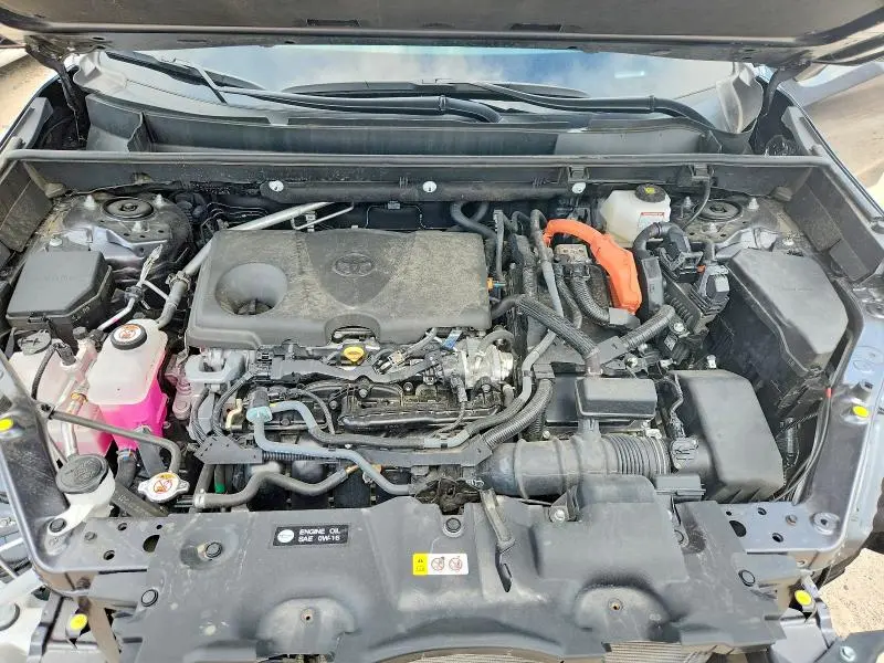 2025 TOYOTA RAV4 XSE  