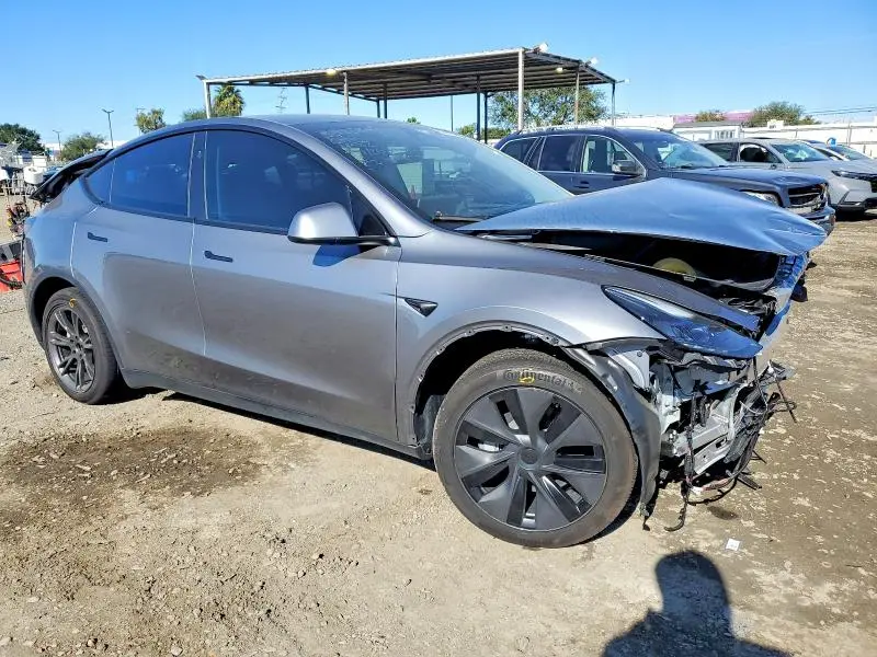 2025 TESLA MODEL Y   