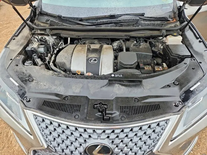 2020 LEXUS RX 350  