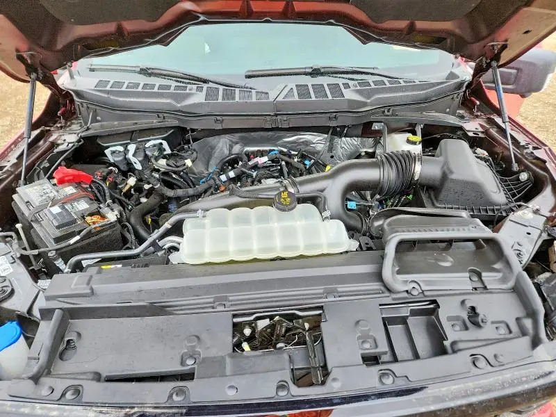 2025 FORD F150 XLT  
