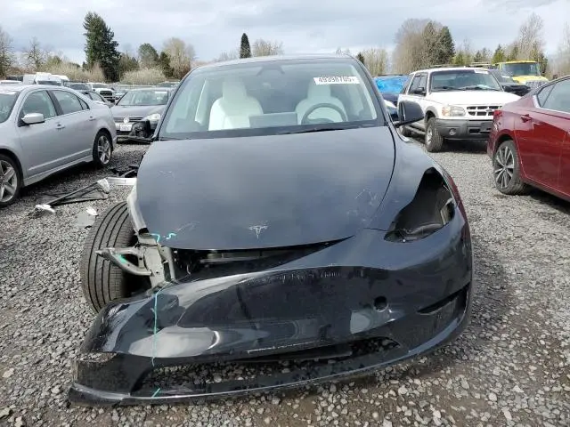 2025 TESLA MODEL Y   