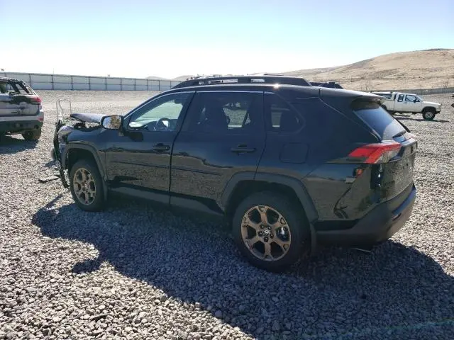2024 TOYOTA RAV4 WOODLAND EDITION