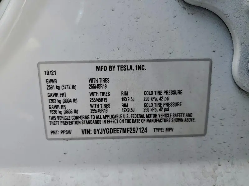 2021 TESLA MODEL Y   