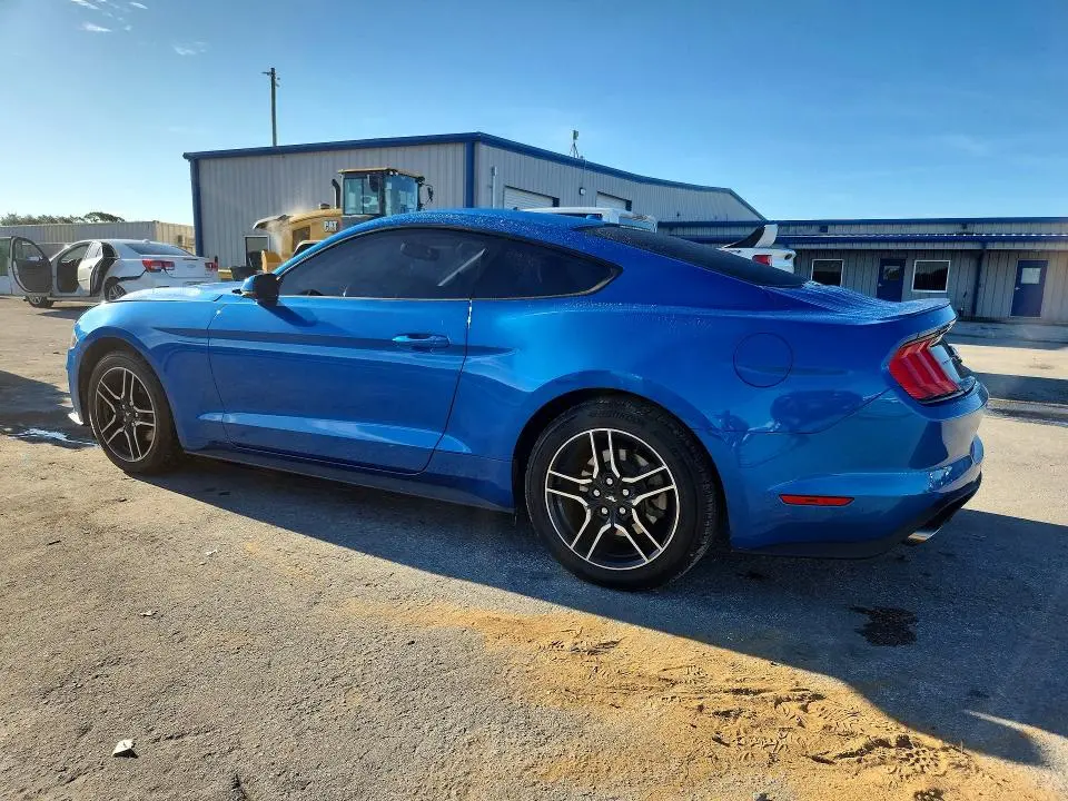 2019 FORD MUSTANG   
