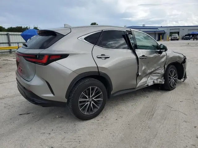 2024 LEXUS NX 250 PREMIUM  