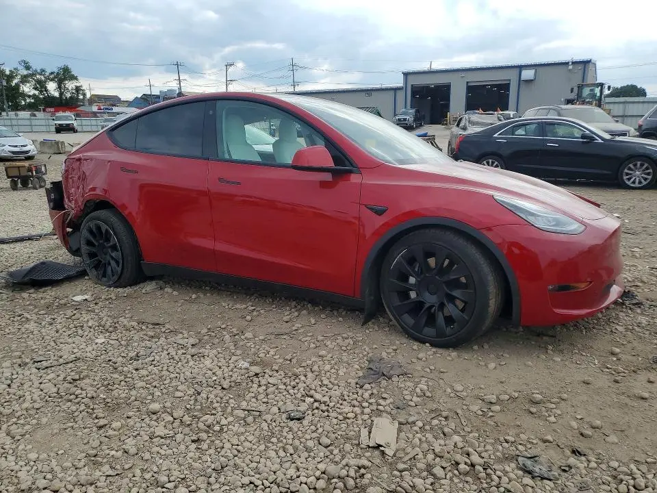 2021 TESLA MODEL Y   