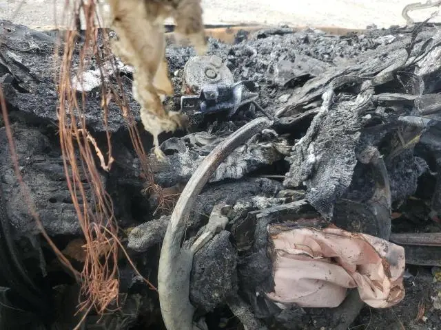 2021 HONDA PILOT TOURING  