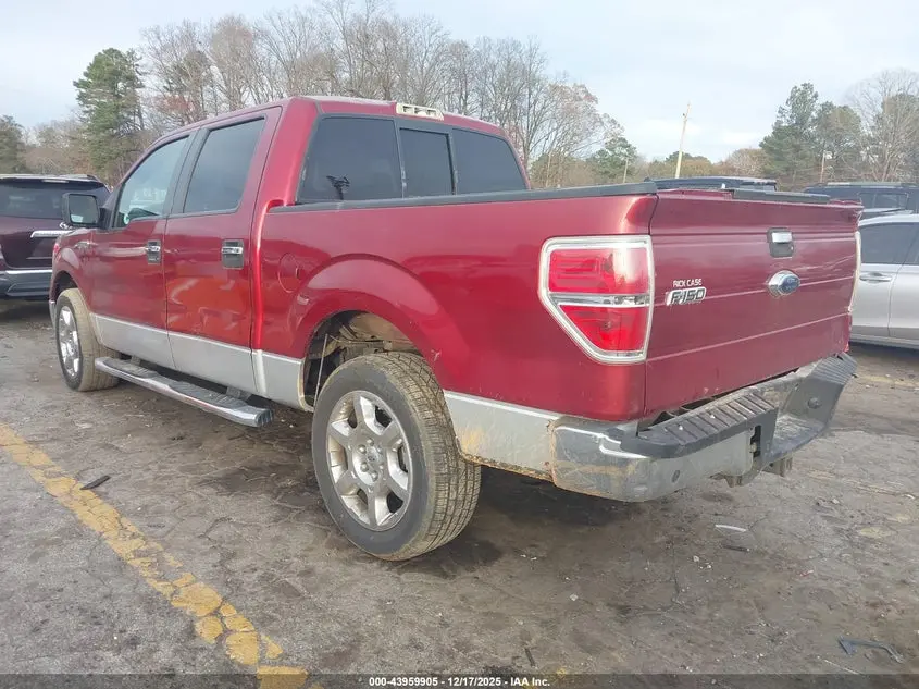 2013 FORD F-150 XLT