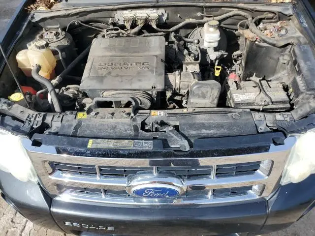 2011 FORD ESCAPE XLT