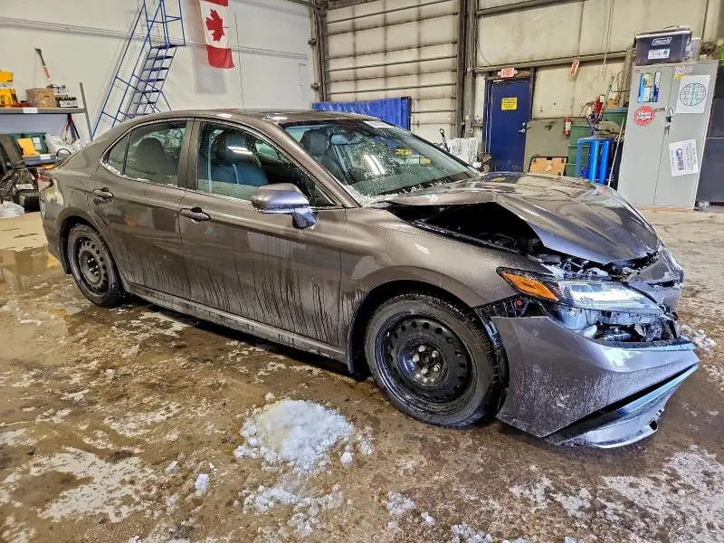 2023 TOYOTA CAMRY XLE  