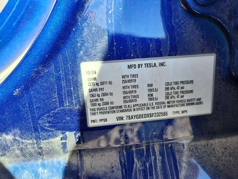 2025 TESLA MODEL Y   