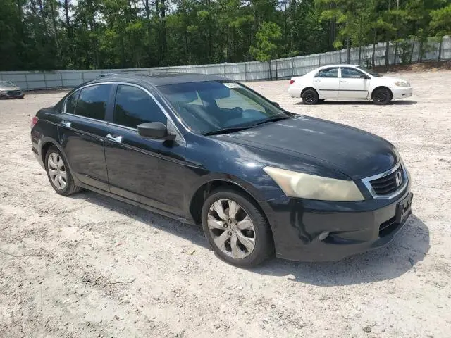2010 HONDA ACCORD EXL  