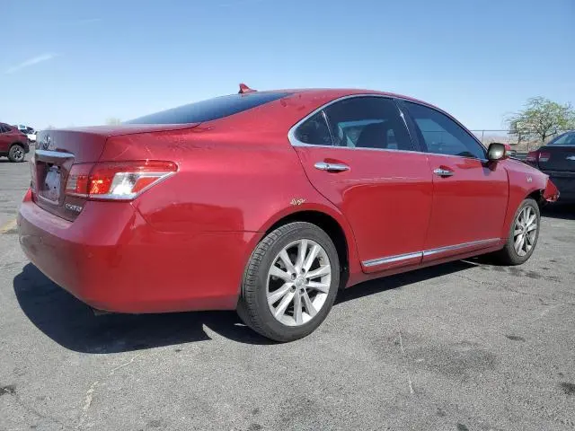 2010 LEXUS ES 350  