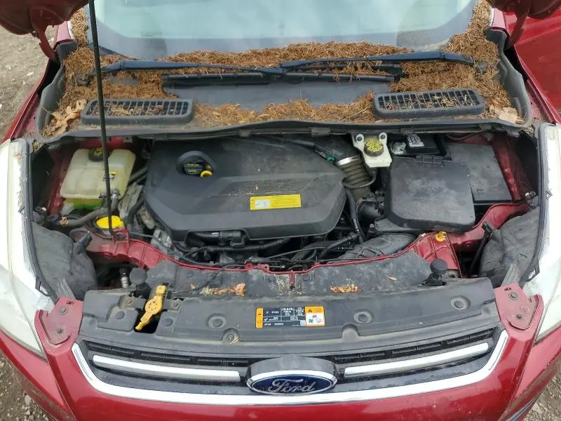 2013 FORD ESCAPE SEL  