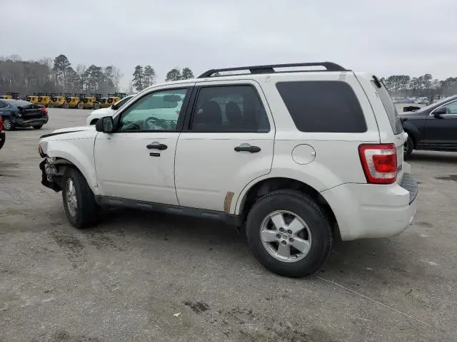 2010 FORD ESCAPE XLT