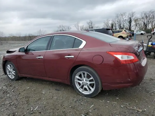 2011 NISSAN MAXIMA S  