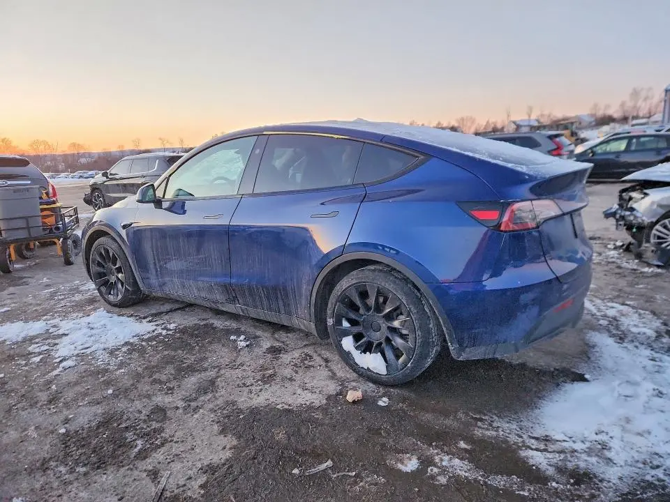 2024 TESLA MODEL Y   