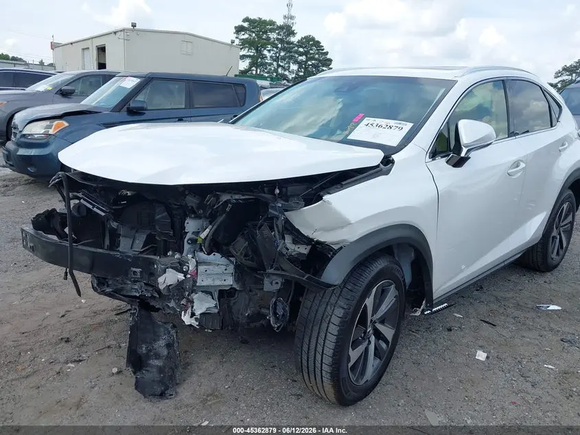 2019 LEXUS NX 300  