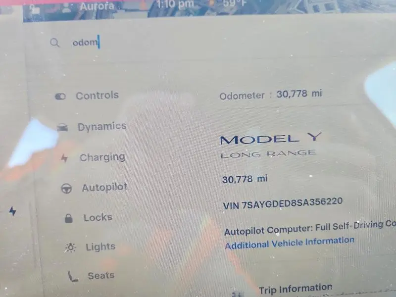 2025 TESLA MODEL Y   