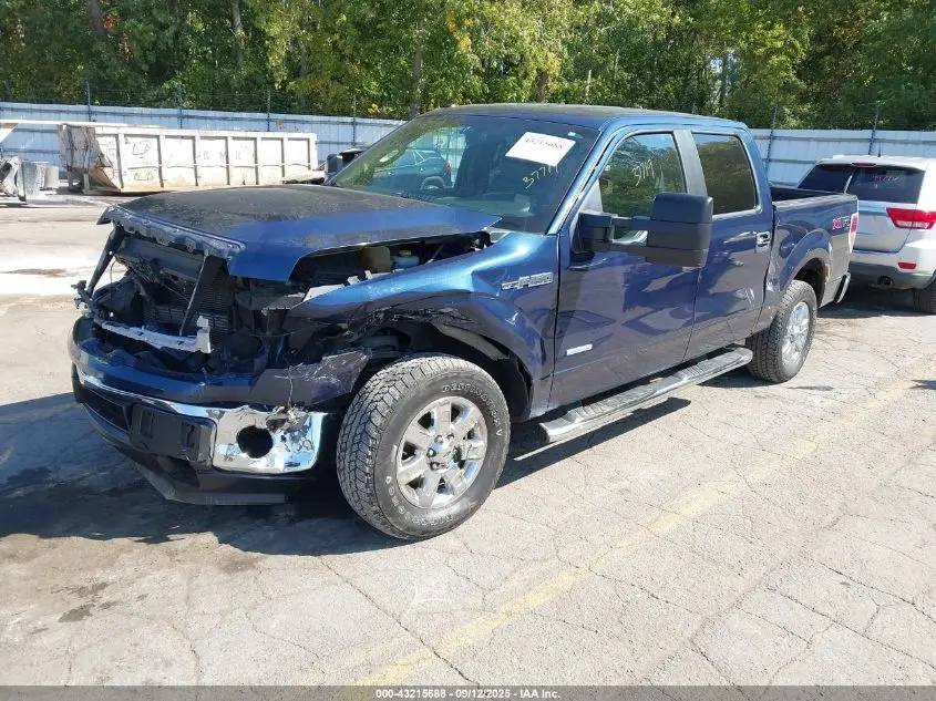 2014 FORD F-150 XLT